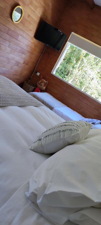 Acogedora Cabana En El Bosque, Acceso Vehiculos 4X4 Кочамо Экстерьер фото